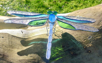 Large Dragonfly