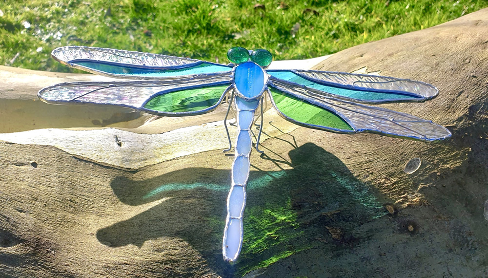 Large Dragonfly