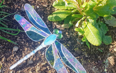 Large Dragonfly