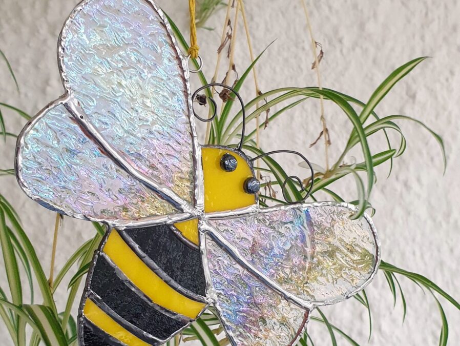 Bee Sun catcher