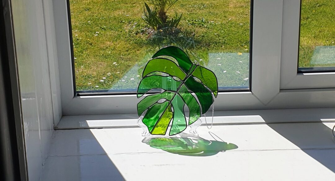 Monstera Leaf