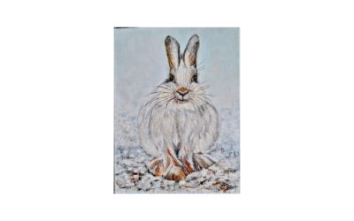 Snow Hare